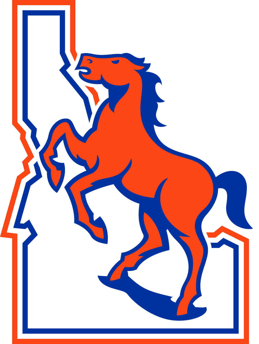 Boise State Broncos 2021-Pres Throwback Logo DIY iron on transfer (heat transfer)